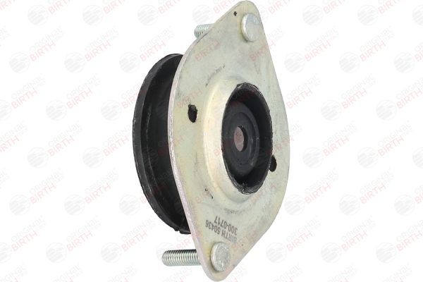 Variklio montavimas BIRTH 50436