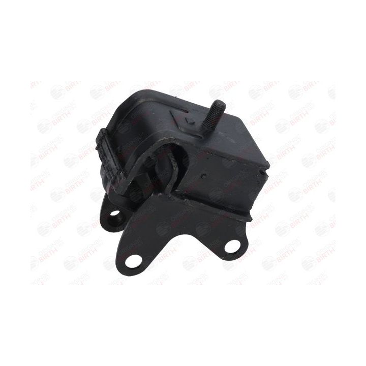 Variklio montavimas BIRTH 50438