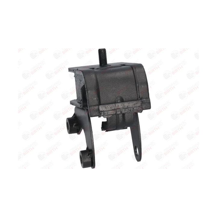 Variklio montavimas BIRTH 50438