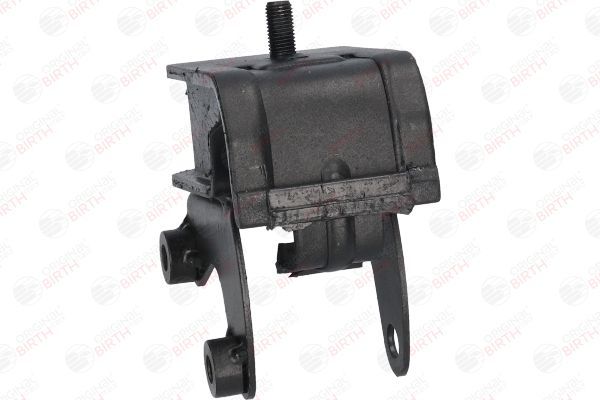 Variklio montavimas BIRTH 50438