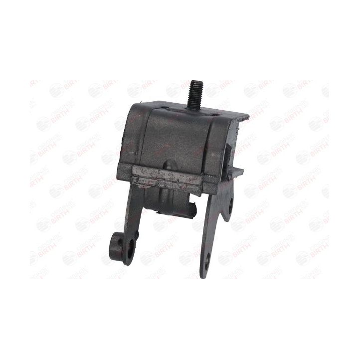 Variklio montavimas BIRTH 50438