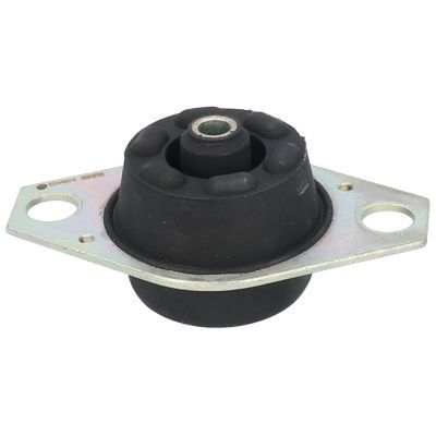 Variklio montavimas BIRTH 50461