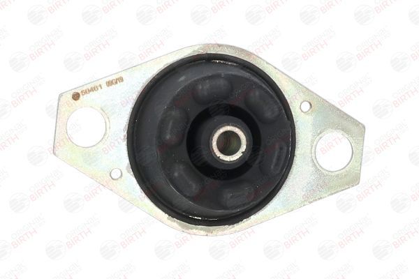 Variklio montavimas BIRTH 50461