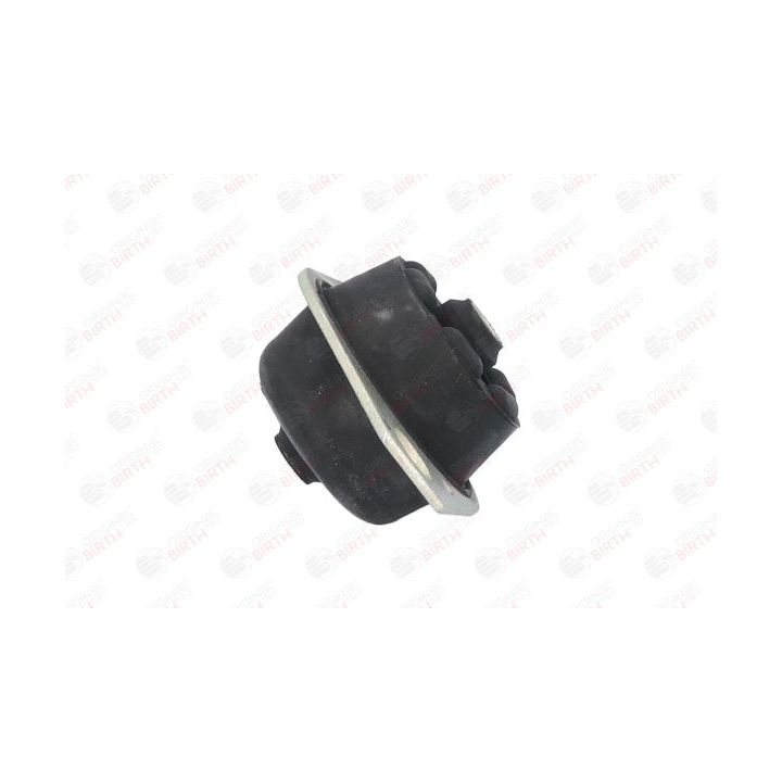 Variklio montavimas BIRTH 50461