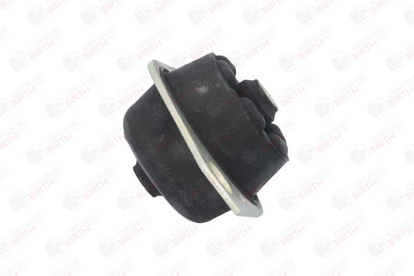 Variklio montavimas BIRTH 50461