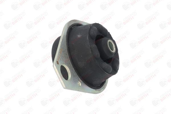 Variklio montavimas BIRTH 50461