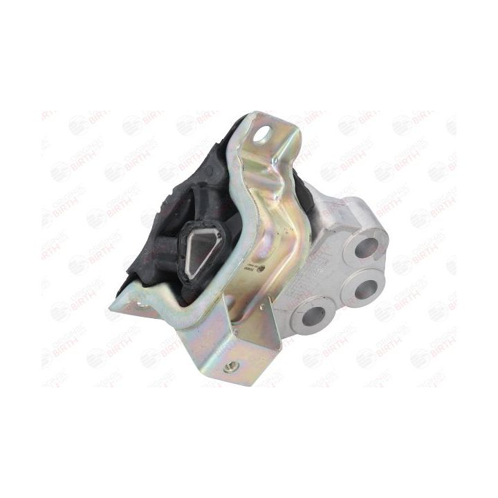 Variklio montavimas BIRTH 50466