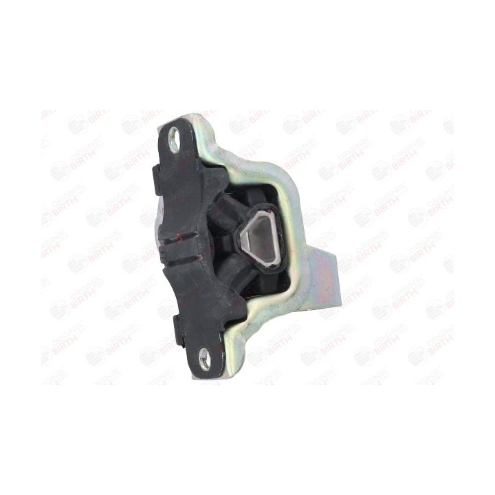 Variklio montavimas BIRTH 50466