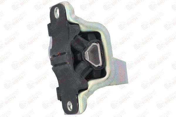 Variklio montavimas BIRTH 50466