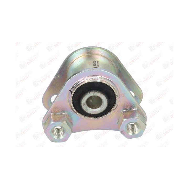 Variklio montavimas BIRTH 50470