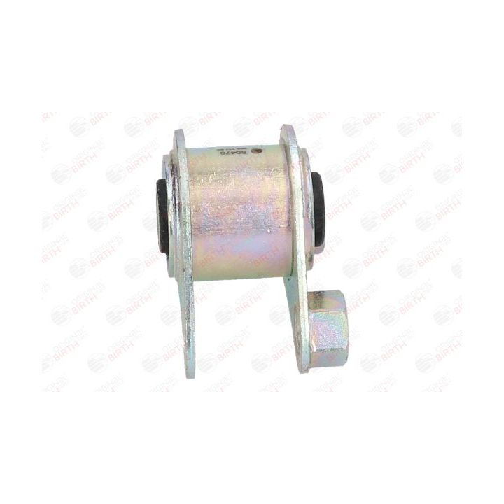 Variklio montavimas BIRTH 50470