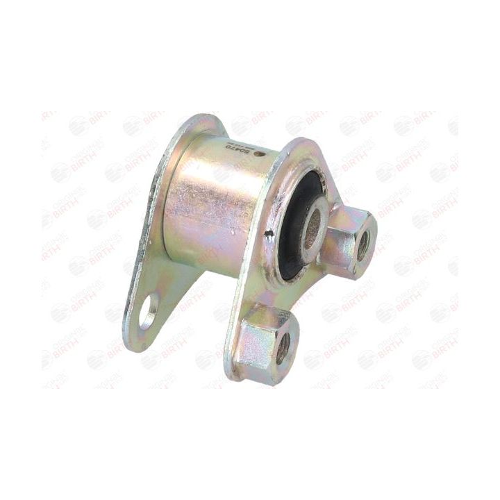 Variklio montavimas BIRTH 50470