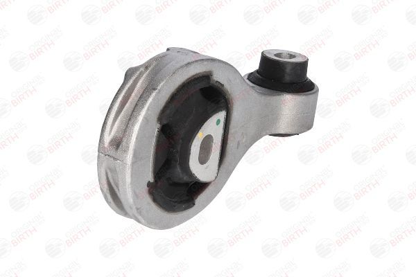 Variklio montavimas BIRTH 50471