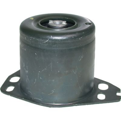 Variklio montavimas BIRTH 50478