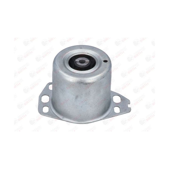 Variklio montavimas BIRTH 50478