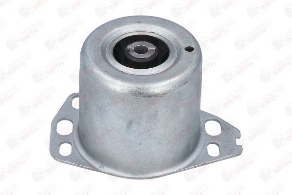 Variklio montavimas BIRTH 50478