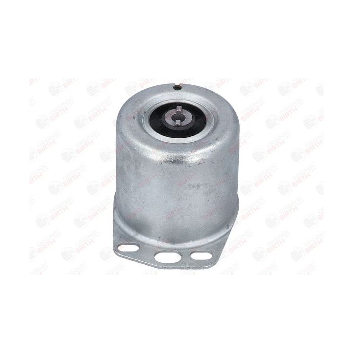 Variklio montavimas BIRTH 50478