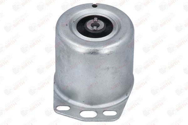 Variklio montavimas BIRTH 50478