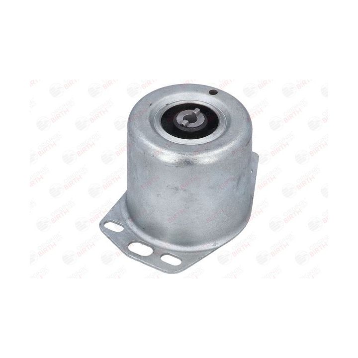 Variklio montavimas BIRTH 50478