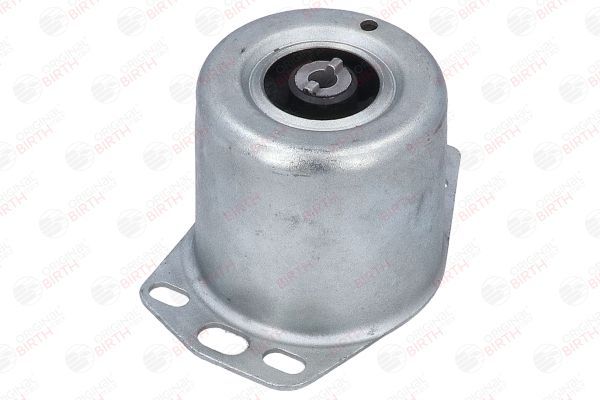 Variklio montavimas BIRTH 50478