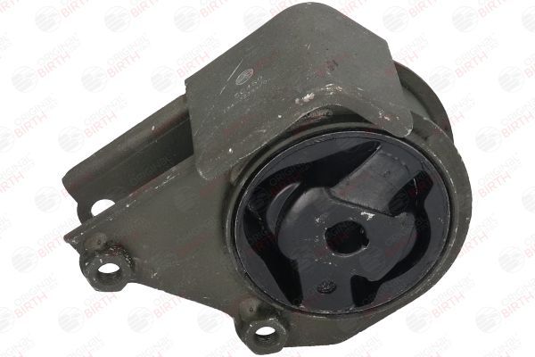 Variklio montavimas BIRTH 50480