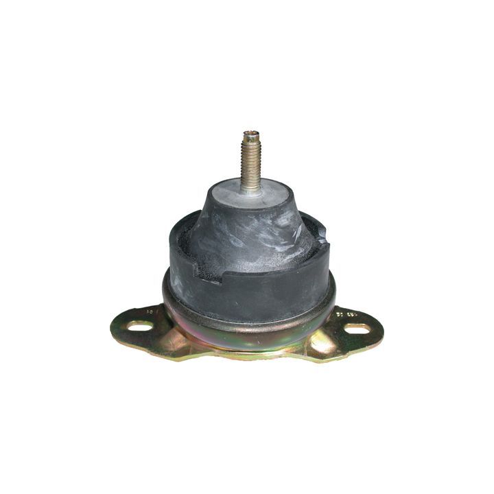 Variklio montavimas BIRTH 50550