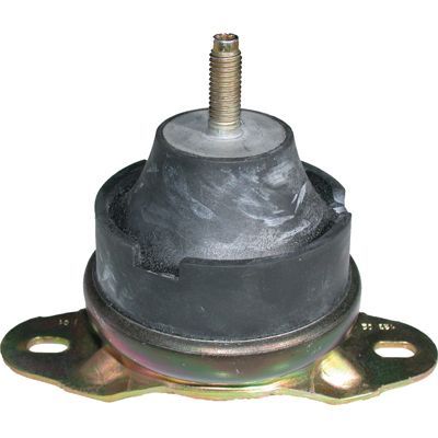 Variklio montavimas BIRTH 50550