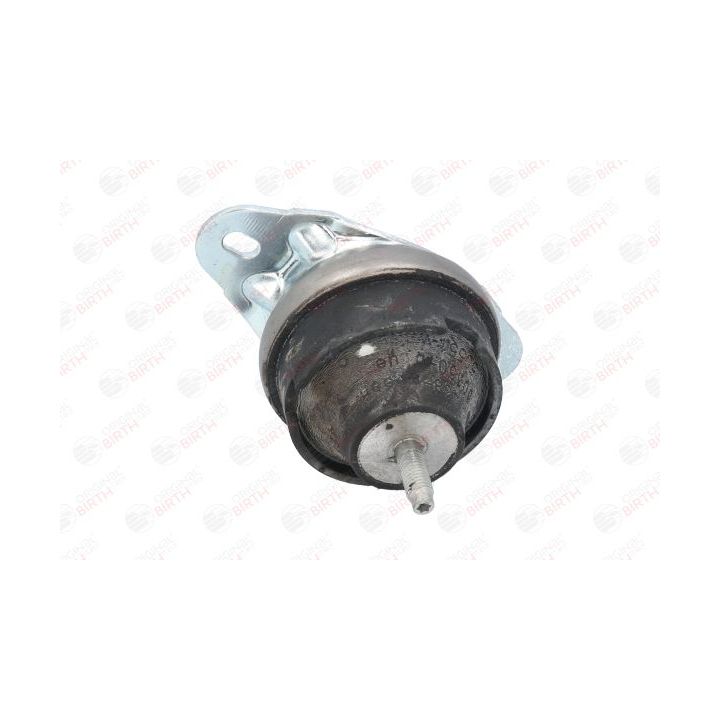 Variklio montavimas BIRTH 50551