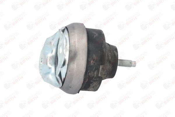 Variklio montavimas BIRTH 50551