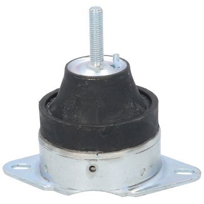 Variklio montavimas BIRTH 50552