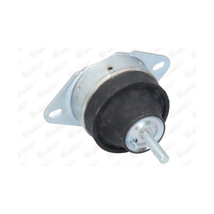 Variklio montavimas BIRTH 50552