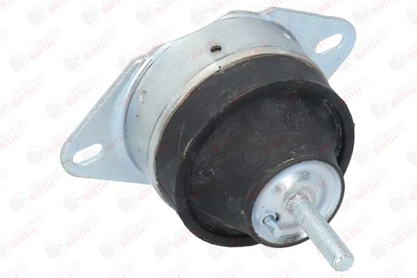 Variklio montavimas BIRTH 50552