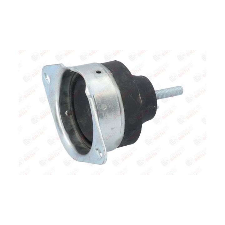 Variklio montavimas BIRTH 50552