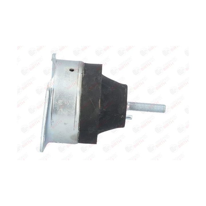 Variklio montavimas BIRTH 50552