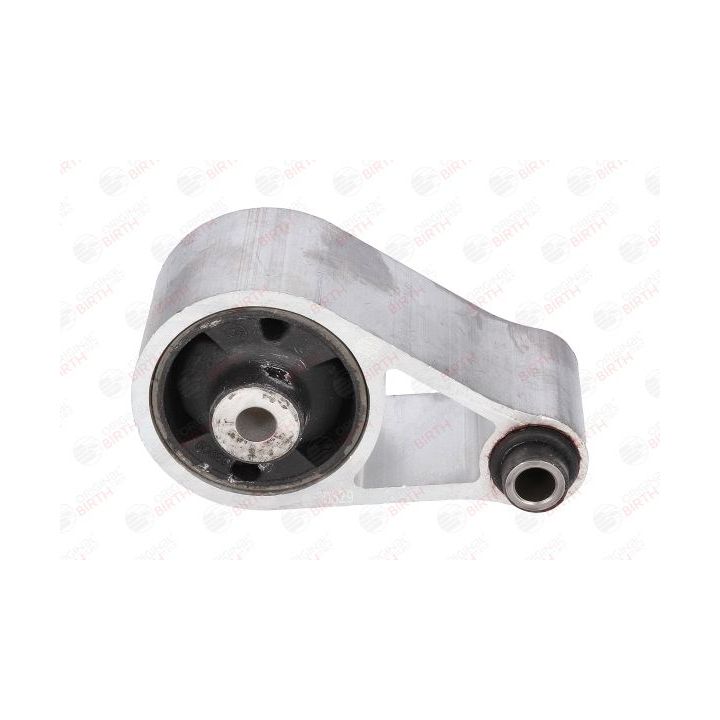 Variklio montavimas BIRTH 50629