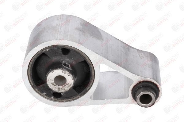 Variklio montavimas BIRTH 50629