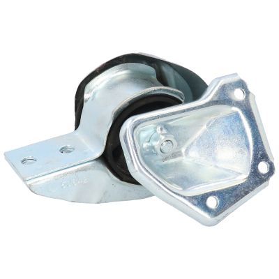 Variklio montavimas BIRTH 50642