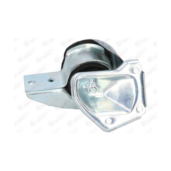 Variklio montavimas BIRTH 50642