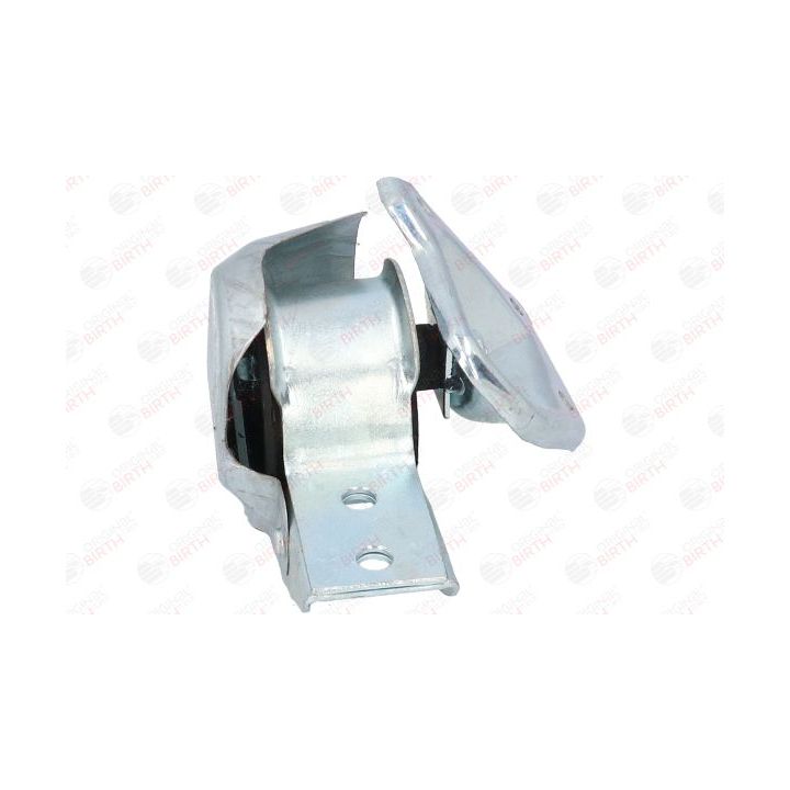 Variklio montavimas BIRTH 50642