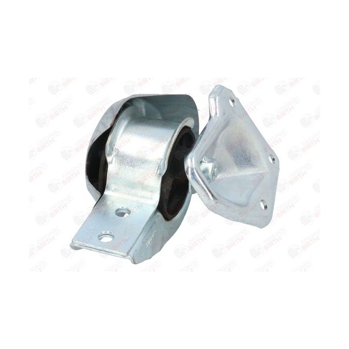 Variklio montavimas BIRTH 50642