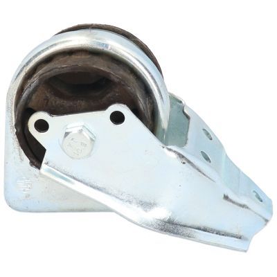 Variklio montavimas BIRTH 50643