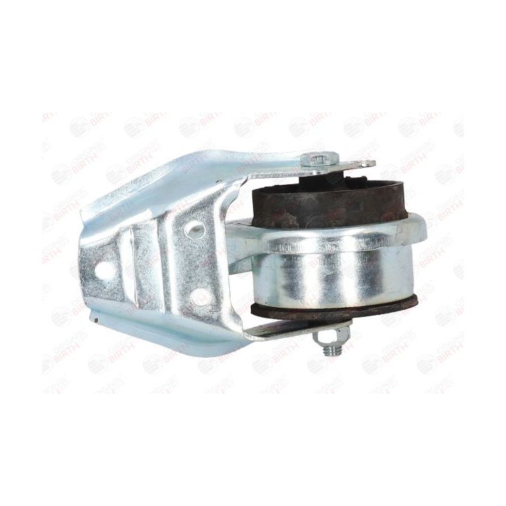 Variklio montavimas BIRTH 50643