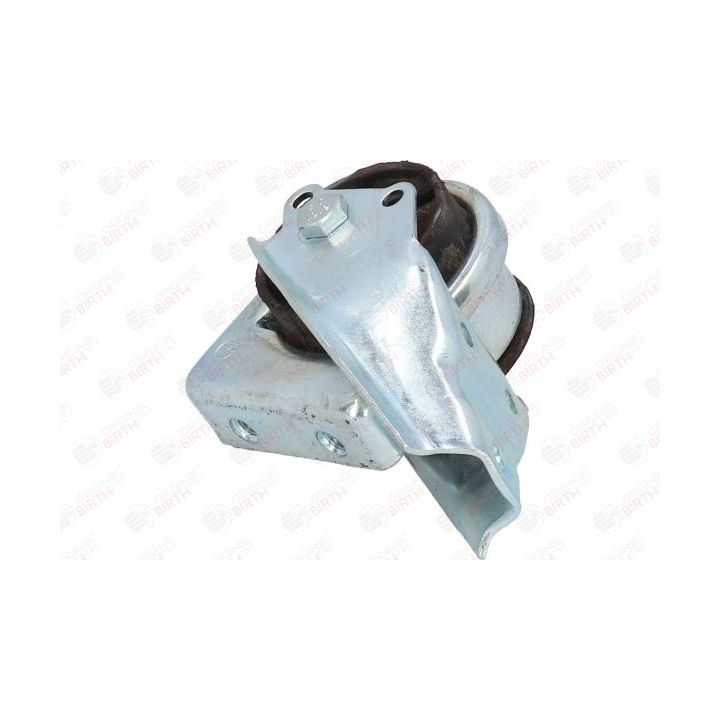 Variklio montavimas BIRTH 50643