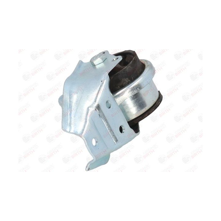 Variklio montavimas BIRTH 50643