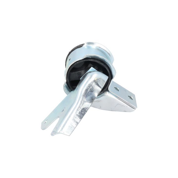 Variklio montavimas BIRTH 50644