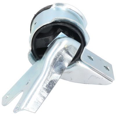 Variklio montavimas BIRTH 50644