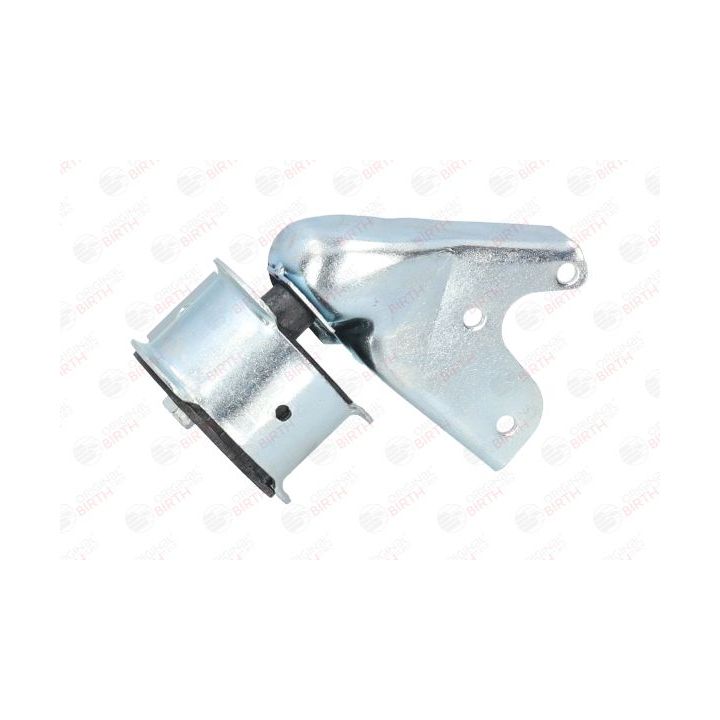 Variklio montavimas BIRTH 50644