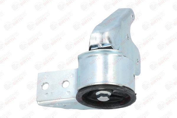 Variklio montavimas BIRTH 50644