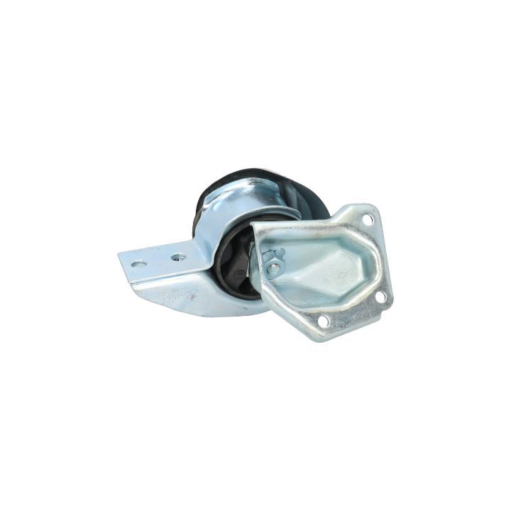 Variklio montavimas BIRTH 50645