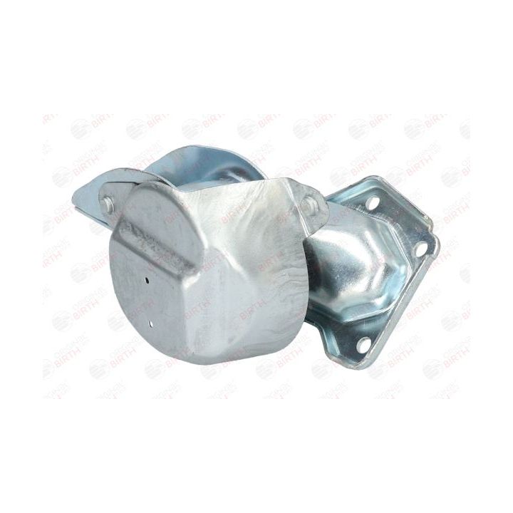 Variklio montavimas BIRTH 50645